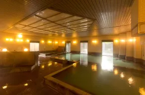 Kusatsu Onsen Hotel Village - Image 4