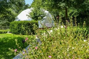 Riverside Zen and Pet-Friendly Escape Retreat in Bastrop, Texas - Image 3