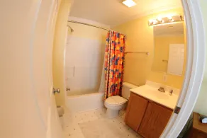 Pet friendly Leeward Cottage: Only a Few Steps to the Beach - Image 5