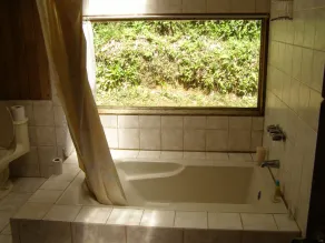 Naturalist's Cloud Forest Retreat - Image 3
