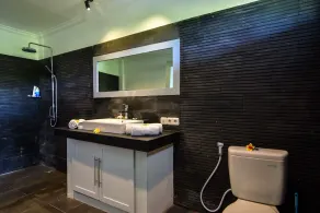 Luxury 2 Bedroom Villa near Lovina, Bali - Image 3