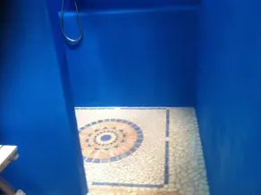 Pied dans l'eau, une jolie maison bleue .. - Image 2