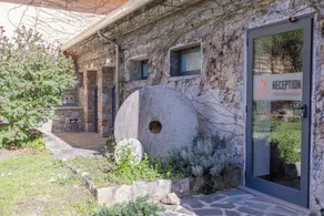 Agriturismo La Petrosa - Image 5