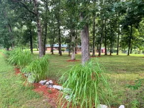 Leasburg Lakehouse vacation home & private stocked lake near Meramec River. - Image 3