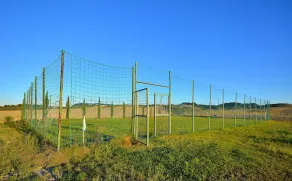 Cosy agriturismo in Toscana with outdoor swimming pool - Image 2