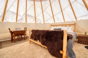 Buffalo Glamping Tipi with King Bed in Black Hills - Image 4