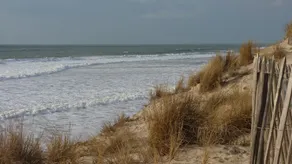 Hus i nærheden af Lacanau, mellem Maubuisson og Carcans plage - Image 3