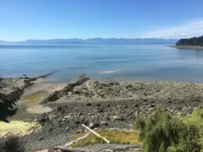 TEXADA'S Stunning Waterfront Tiny Cottage in Gillies Bay:The Beach House Texada! - Image 5