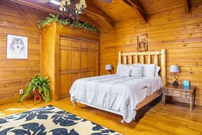 Beautiful Mountain View log cabin - Image 5
