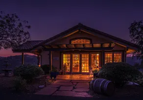 Breathtaking Vineyard and Lake Views, Secluded with private pickleball court - Image 4