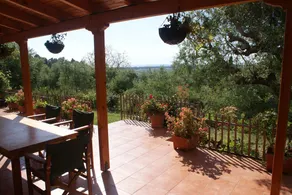 Renovated traditional farmhouse overlooking the sea 400 olive trees. - Image 5