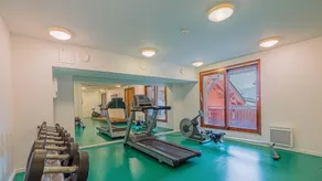 Wifi, 50m from ski lifts, fitness, swimming pool, sauna, hammam, balcony, parking, tv, 64m², Vaujany - Image 4
