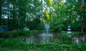 Remodel Cottage with Pond on Three Acres - Image 4