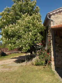 'La magnanerie' na típica casa Ardèche de Alice em Lablachére. - Image 5