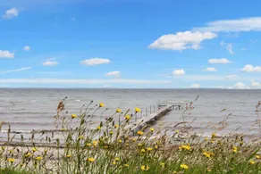 Luxuriöses Poolhaus in Strandnähe - Image 4