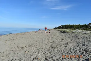 Plage<100m. Clim. Wifi. Jardin clôturé. bbc. Parking.opt voiture. Nbrs activités - Image 3