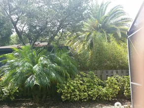 🌴🌺 Piscine chauffée la maison - à la plage, les animaux de compagnie amical à pied de l'océan et des restaurants - Image 2