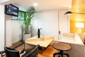 Modern garden unit in classic brownstone - Image 5