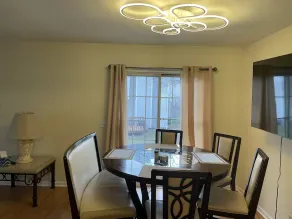 Beautiful townhome 45 mins from Chicago - Image 5