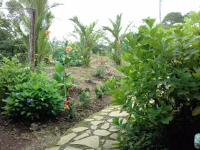 Come &  Feel Like At Home  With A Real Costa Rican Family!! - Image 2