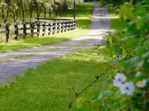 Apple Blossom Cottage Of Gettysburg.  Hot Tub is an Add on Fee - Image 2