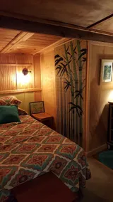 Sweet Suite 3 minutes to  Dupont State Forest!  Take a hike or bring your Bike! - Image 5