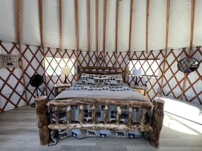 Pet friendly glamping in a private yurt with stunning 360° views by Forest - Image 4