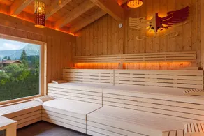 Comfort Suite TYROL - Hotel Tyrol am Haldensee - Image 3