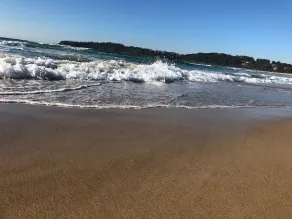 Easy Walk to the Inlet & Beach - Image 5