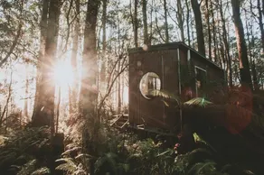 Tiny -Eco House -Kokoro.  COMPLIMENTARY ROMANTIC PACKAGE worth $75 -OTWAYS LORNE - Image 5