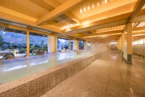 Kinugawa Hotel Mikazuki - Image 3