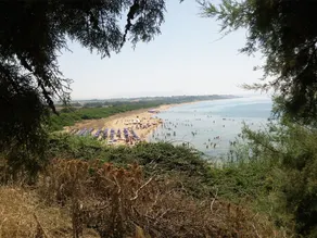 Live your vacation in Sicily - Selinunte - Villa with pool and sea view. - Image 3