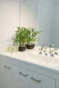 Private Holiday Home With Rain Forest Creek View - Image 2