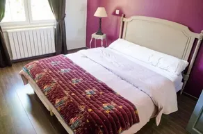 Large apartment with terrace in character property - Image 5