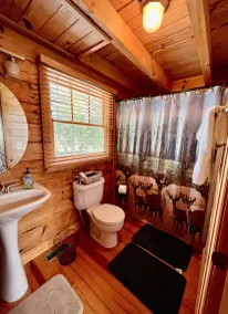 River Front Log Cabin- Hot Tub-Tubing on the River, Pet Friendly. - Image 4