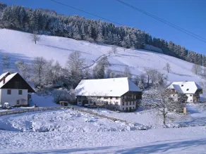Comfy Apartment in Salmensbach near River - Image 4