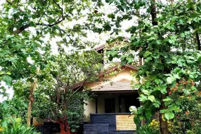 Jungle Safari Holiday Villa com 3 Bdrms - Image 1