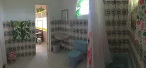 Banana room - Image 2