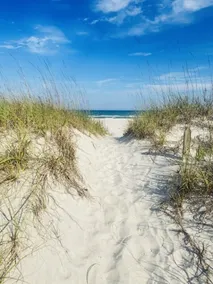  Family friendly oceanfront condo, directly on the beach. - Image 5