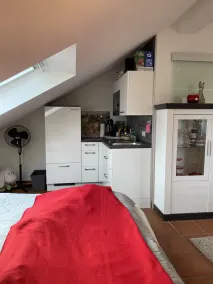 Cozy one-room apartment 15 minutes from the Nürburgring - Image 5
