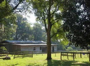 Horseback Riding Ranch Quality RV; Horses For All Ages and Levels on 25 acres! - Image 5