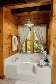 Log Cabin with living room fireplace and hot tub - Image 2
