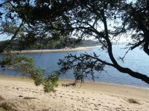 Near Hossegor (Ocean, Lake, Golf Course), Spa, Accommodation (4 people) with Wi-Fi and air conditioning - Image 5