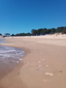 Vendée Loire land 400 m fra stranden Frankrig - Image 3