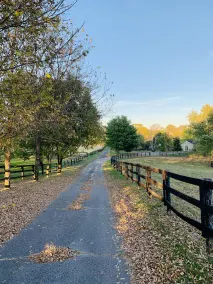 Umgeben von ländlichem Charme! 5 BR Nur 13 km von Keeneland und dem Flughafen BG entfernt - Image 5