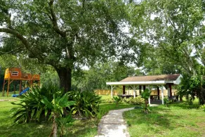 With tree house, Surprising Tropical-style resort - Image 5