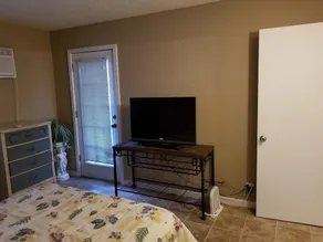 Lakefront Condo 2 Bed 1 Bath - Image 3