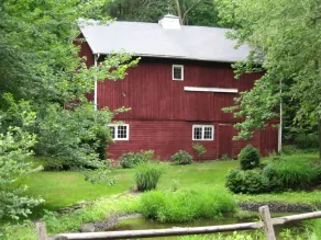 Private room on secluded 7 acres , access to entire house including patio, porch - Image 4
