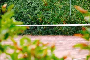 Otranto: SPLENDID Estate med pool och tennisbana. - Image 2