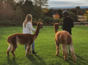 Stay in Yome at Haute Goat Farm 1 hour from Toronto - Image 4